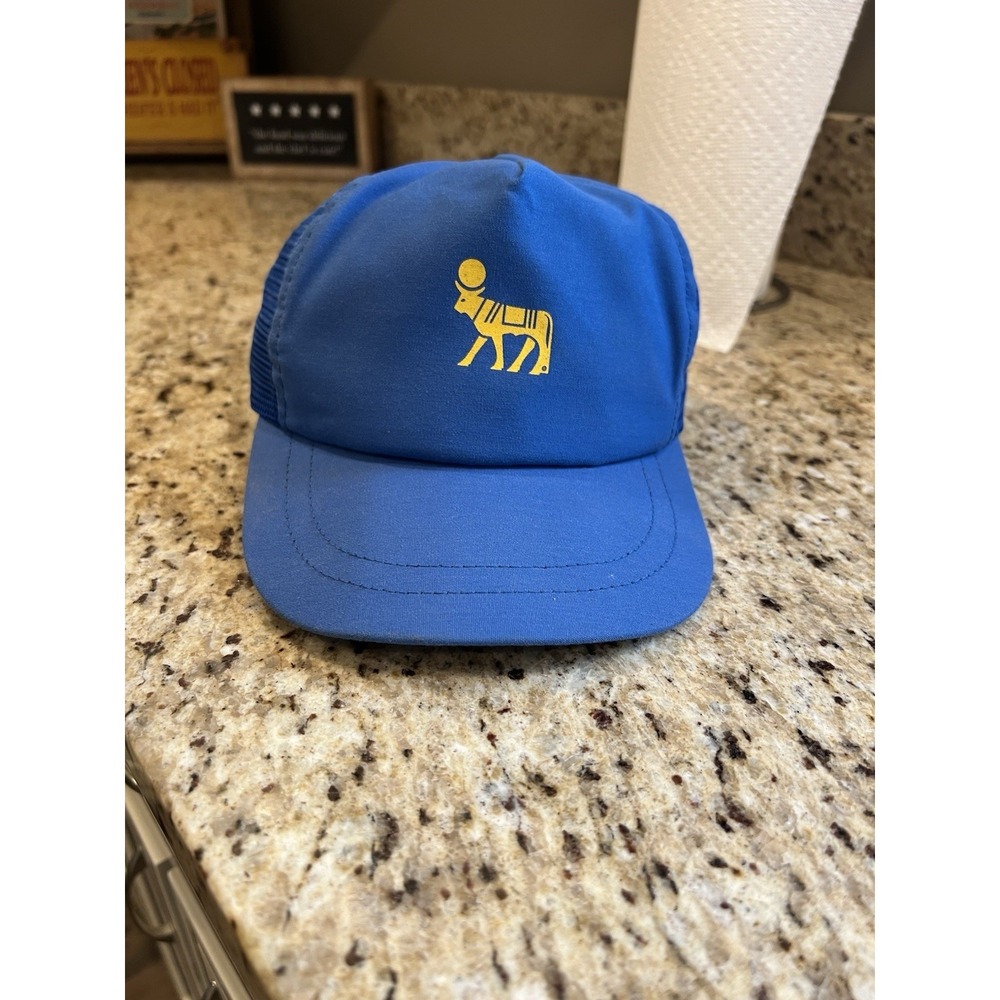 Vintage Blue Snap Back Trucker Hat "Bull W/ Sun Cap" Mesh